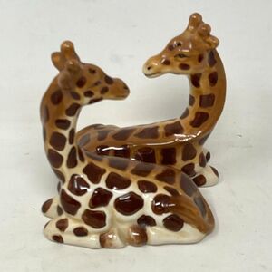 Salt & Pepper Shakers - Giraffe Magnetic Salt And Pepper Shakers Pacific
